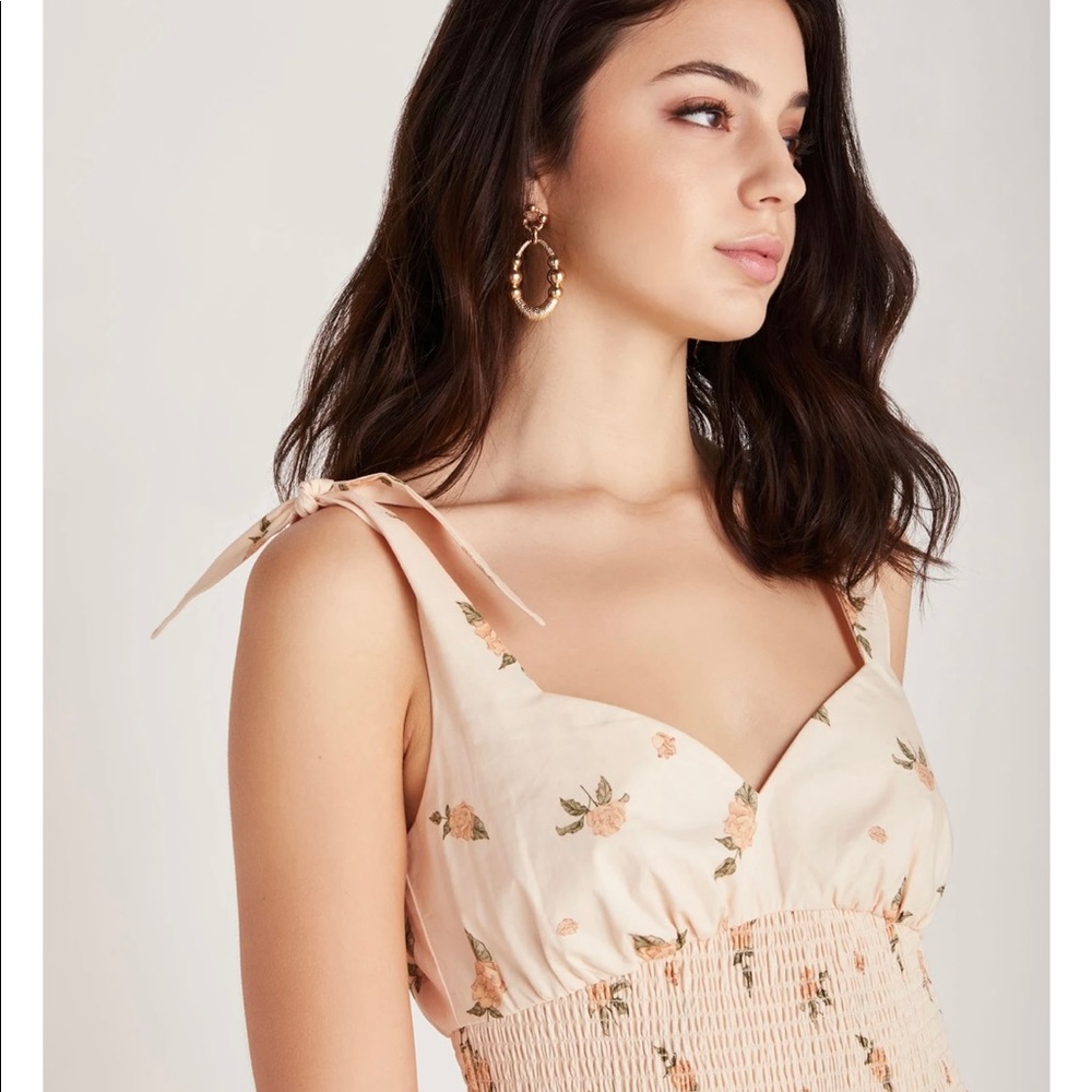 Backyard Roses Mia Dress - Picture 4 of 5